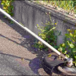 Корщетка для триммера 190мм Sturm BTA010 замовити