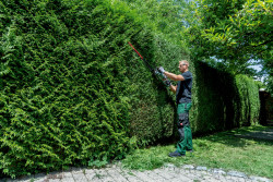 Акумуляторний кущоріз Metabo HS 18 LTX BL 55 