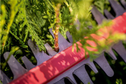 Акумуляторний кущоріз Metabo HS 18 LTX 55 не дорого