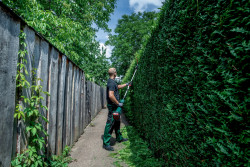 Насадка-кущоріз Metabo MA-HS 50 акція