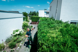 Насадка-кущоріз Metabo MA-HS 50 знижки