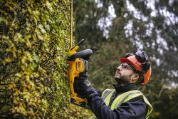 Кущоріз акумуляторний DeWALT DCMHT563P1 не дорого