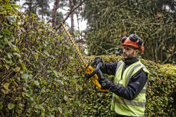 Кущоріз акумуляторний DeWALT DCMHT563P1 фото