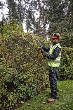 Кущоріз акумуляторний DeWALT DCMHT563P1 в інтернет-магазині