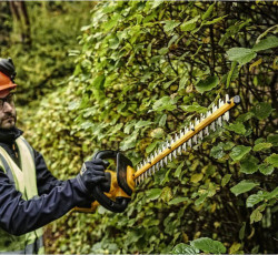 Кущоріз акумуляторний безщітковий зі штангою DeWALT DCMPH566P1 ціна