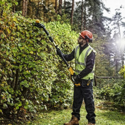 Кущоріз акумуляторний безщітковий зі штангою DeWALT DCMPH566P1 Arsenal Grand