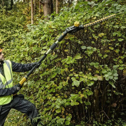 Кущоріз акумуляторний безщітковий зі штангою DeWALT DCMPH566P1 знижки
