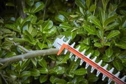 Кущоріз акумуляторний BLACK+DECKER BCHTS3625L1 в інтернет-магазині