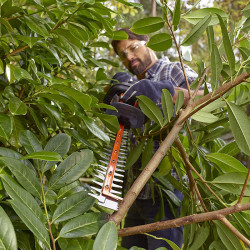 Кущоріз електричний BLACK+DECKER BEHTS501 не дорого