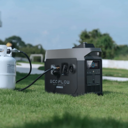 Двопаливний Генератор EcoFlow Smart Generator (газ-бензин) не дорого