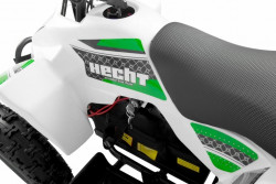 Квадроцикл на аккумуляторной батарее HECHT 54803 в интернет-магазине