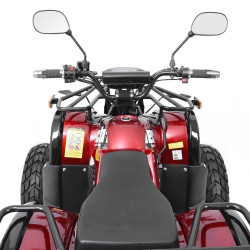 Квадроцикл на акумуляторній батареї HECHT 56155 RED не дорого