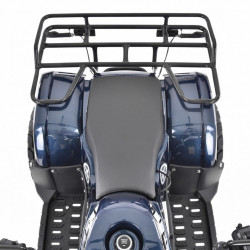 Квадроцикл на аккумуляторной батарее HECHT 56155 BLUE цена
