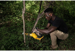 Мини-пила цепная аккумуляторная безщёточная DeWALT DCMPS520P1 