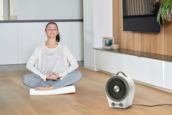 Тепловентилятор BLACK+DECKER BXFSH2000E не дорого