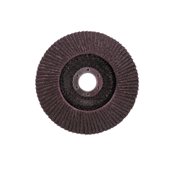 Круг пелюстковий тарілчастий 125*22 Р-80 конич. серії Profi (UA) - фото №2 Круг пелюстковий тарілчастий 125*22 Р-80 конич. серії Profi (UA) купить