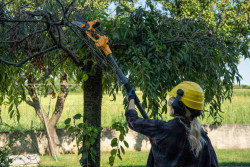 Мини-пила цепная аккумуляторная STIGA PR100eKit не дорого