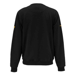 Свитшот 100 YEAR LOGO SWEATSHIRT DeWALT DWC237-001-L в Украине