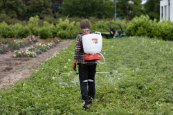 Опрыскиватель аккумуляторный ранцевый SOLO 442NEW фото