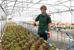 Опрыскиватель аккумуляторный ранцевый SOLO 442NEW цена