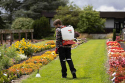 Опрыскиватель аккумуляторный ранцевый SOLO 442NEW акция