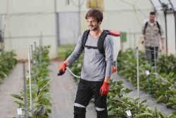 Опрыскиватель аккумуляторный ранцевый SOLO 442NEW скидки