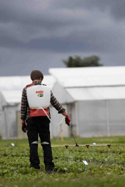 Опрыскиватель аккумуляторный ранцевый SOLO 442NEW 