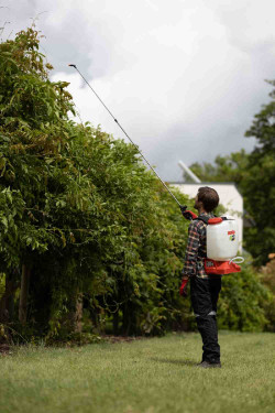 Опрыскиватель аккумуляторный ранцевый SOLO 442NEW 