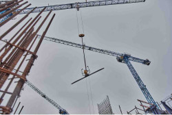 Віброрейка акумуляторна POWERSHIFT DeWALT DCPS330N фото