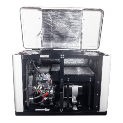 Генератор газовый EnerSol ENNG-13000TATS в Украине