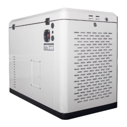 Генератор газовый EnerSol ENNG-13000TATS заказать