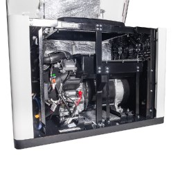 Генератор газовий EnerSol ENNG-17000SATS замовити