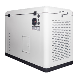 Генератор газовый EnerSol ENNG-17000TATS не дорого