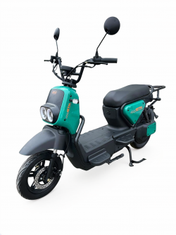 Электроскутер GTM K-800-S 800W 60V 20Ah заказать