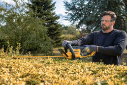 Кусторез аккумуляторный DeWALT DCMHT562P1 