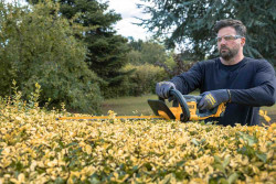 Кусторез аккумуляторный DeWALT DCMHT564N в Украине