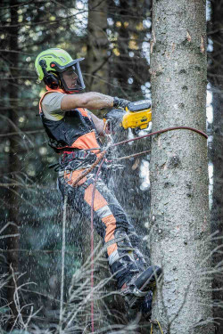 Пила цепная аккумуляторная бесщёточная с верхней рукояткой DeWALT DCMCST635N акция