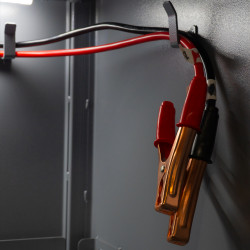 Шкаф для зарядки АКБ на 6 ед.BCRL0601 УКРАИНА не дорого